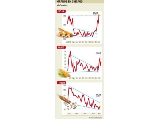 Soja tocó máximos del año