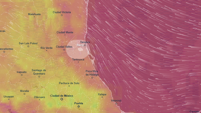 Barry tocó tierra en Vearacuz como tormenta tropical.