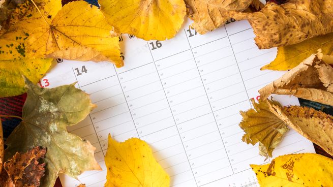 El viernes 15 de agosto generó confusión para quienes no ven la hora de que lleguen los feriados.