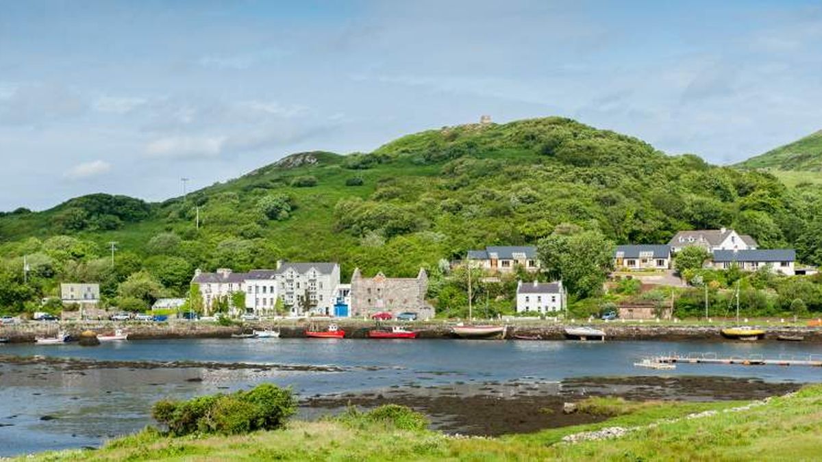 Ancestral do pombo doméstico é encontrado na Escócia e Irlanda