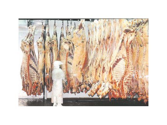 FRIGORÍFICOS. La producción de carne totalizó 1,497 millones de toneladas, es decir 9,4% menos que en igual período pero del año anterior. El consumo interno absorvió el 92,05% del total.
