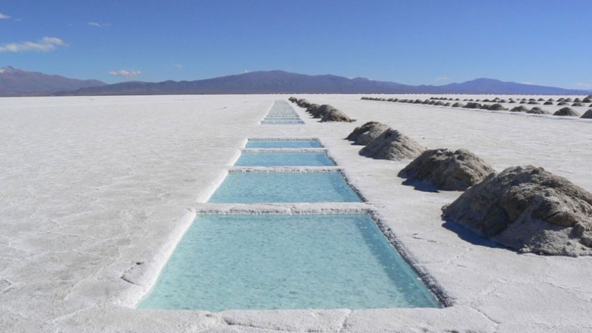 Lithium, dollar and reserves: the keys for Argentina to become a power