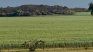 El agro brasileño, un modelo a imitar para la Argentina, sin dudas, en pos de ser más competitiva en el mundo.