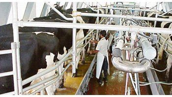 Mercado. En los primeros ocho meses del año, Argentina exportó cerca de 36.000 toneladas de leche entera en polvo y 27.200 toneladas de quesos.