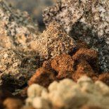 Los minerales críticos y tierras raras son insumos estratégicos para la defensa, la industria tecnológica y la transición energética. Los minerales críticos y tierras raras son insumos estratégicos para la defensa, la industria tecnológica y la transición energética.