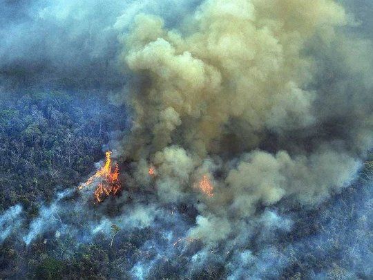Por su parte, la región amazónica, la floresta tropical más extensa del mundo, registró 70.669 puntos de posibles incendios entre el 1 de enero y el 20 de septiembre ante 62.608 en todo 2019, indicó el INPE.