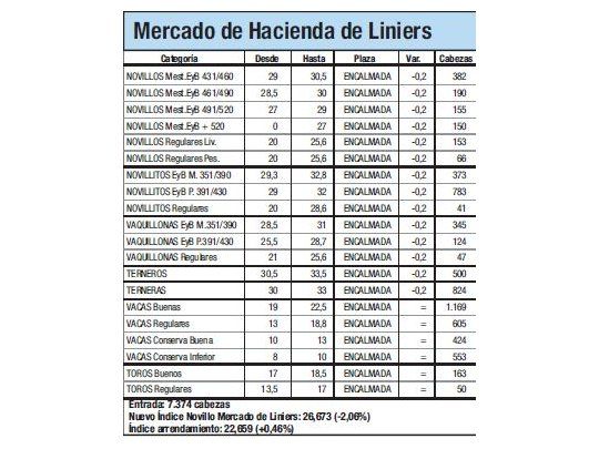 Índice Novillo cayó un 2,1% en Liniers