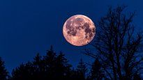 Luna Rosa.