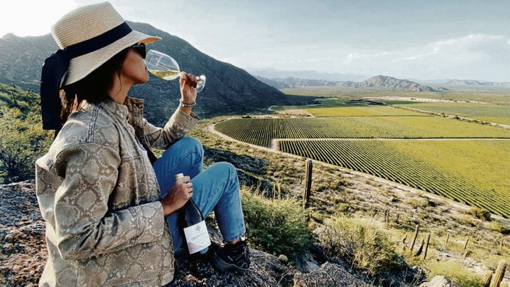 vinos la rioja 3.jpg