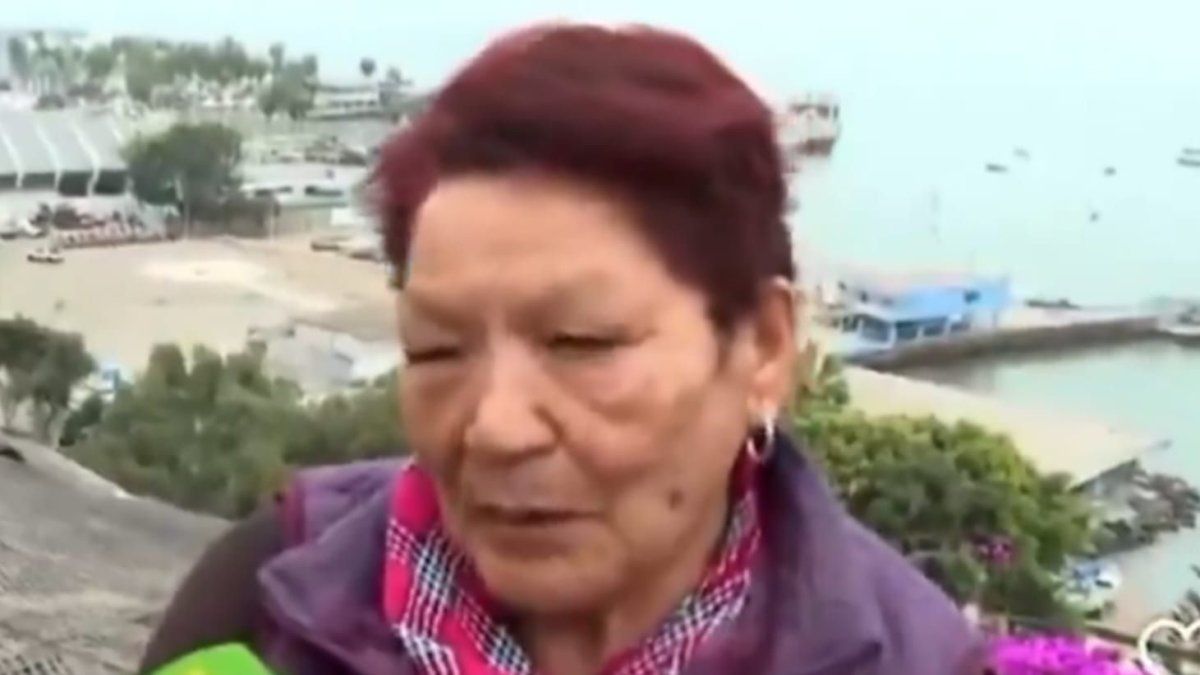 A grandmother took her grandson to the Pacific coast to know the tsunami