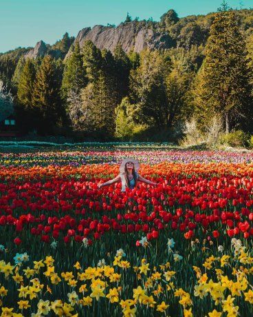Este lugar ubicado en Bariloche enamora al turismo. Este lugar ubicado en Bariloche enamora al turismo.
