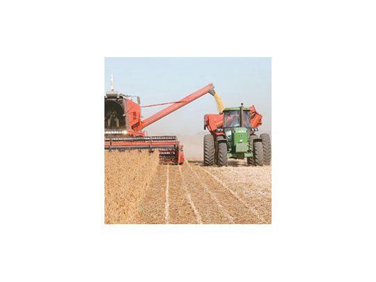 Durante largo tiempo se temió por un freno en los avances genéticos de la soja por el impedimento de Monsanto de cobrar las regalías sobre la variedad RR. Ahora se sabe que la solución llegará y reinsertará a la Argentina en el mapa mundial en transgénicos.