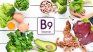 Folic acid contributes to the synthesis of DNA, the production of new cells and the development of the nervous system. Folic acid contributes to the synthesis of DNA, the production of new cells and the development of the nervous system.