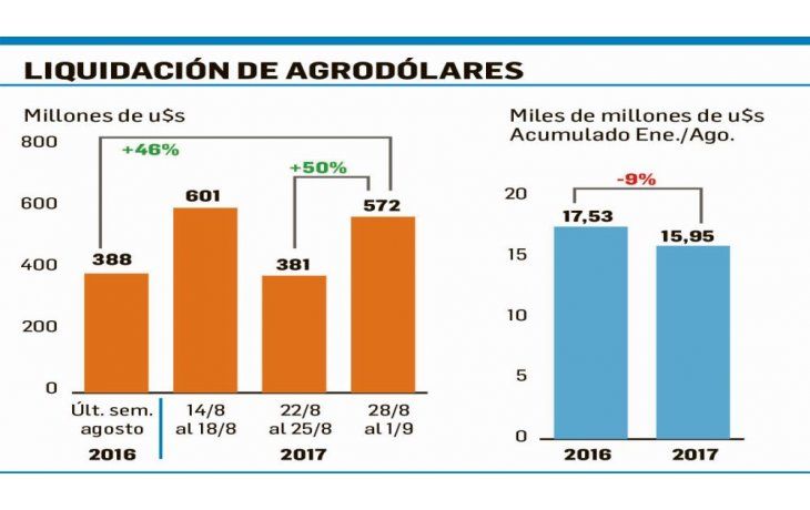 Liquidación de divisas del agro trepó hasta los u$s572 millones
