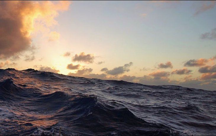 La temperatura de los océanos llegó a niveles récord. La temperatura de los océanos llegó a niveles récord.