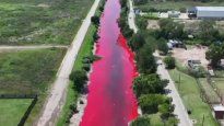 Preocupación en Avellaneda por la contaminación del arroyo Sarandí.