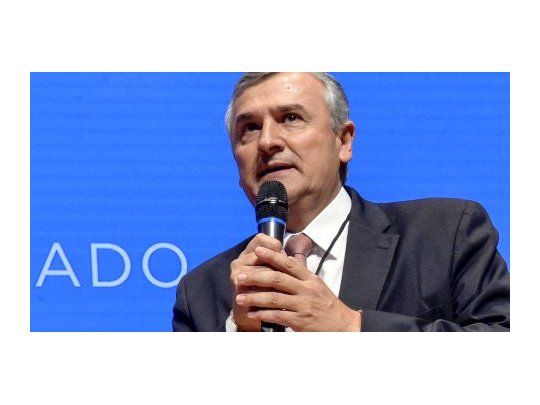 El mandatario por la UCR indicó que el tema se está discutiendo al interior del radicalismo y también de la coalición Cambiemos.