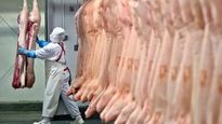 ámbito.com | trabajadores-carne.jpg