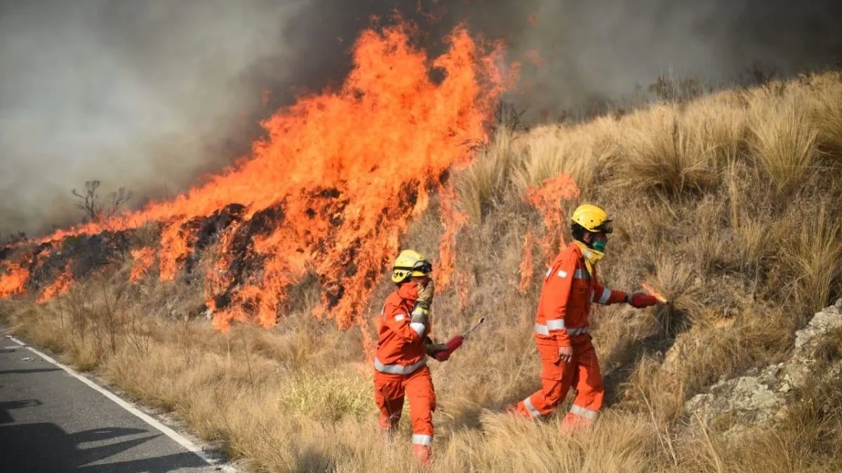 Incendios forestales: alertan situación en Entre Ríos y Santiago del Estero por focos activos