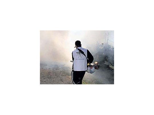 Pese a lasfumigacionesque se realizanen todo el país,el avance de laenfermedad nose detiene.