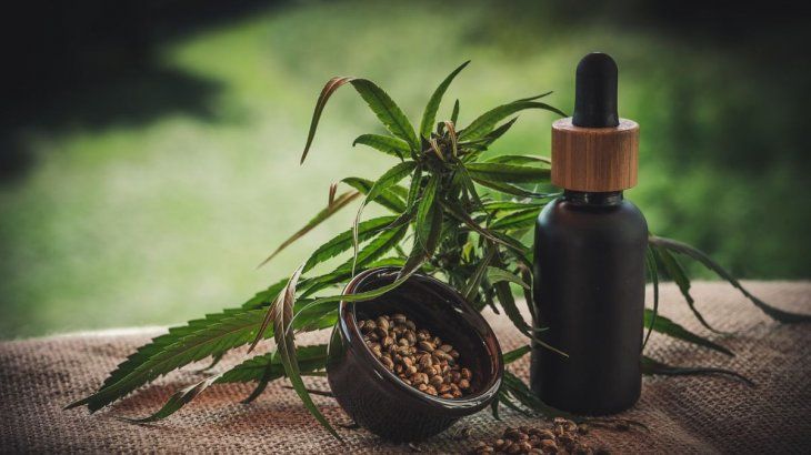 El proyecto autoriza la prescripción del aceite de cannabis para tratamiento médico en el ámbito provincial.