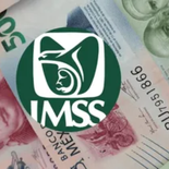 Fecha de pago del IMSS del próximo mes. Fecha de pago del IMSS del próximo mes.