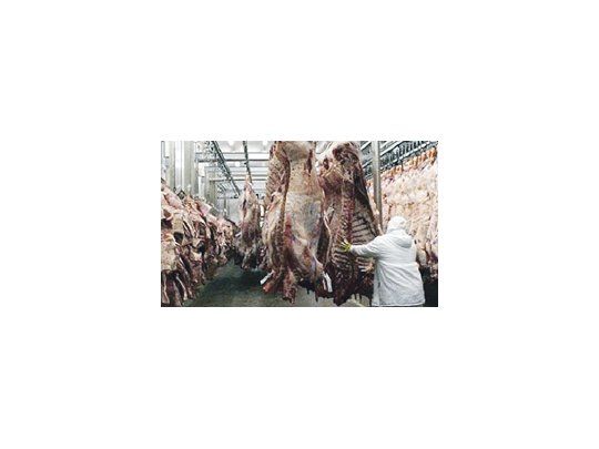 La producción de carne crecería un 1,4% en 2013 y alcanzaría los 308,2 millones de toneladas a nivel mundial.