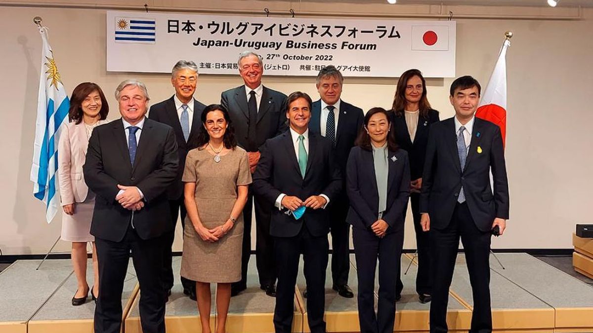 Mercosur and Japan will begin negotiating an FTA in April