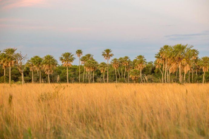 La joya del norte le permite al turismo poder conectar con la naturaleza. 