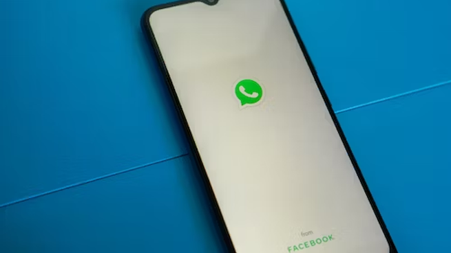 WhatsApp﻿: ahora es posible enviar mensajes con color.