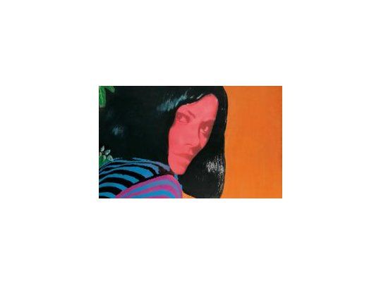 El retrato de Martial Raysse Sans titre, por el que un coleccionista privado europeo pagó 1,7 millones de euros, supuso el precio más elevado desembolsado en Francia por una creación suya.