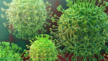 Coronavirus en Argentina: nuevo caso sospechoso en Mendoza.
