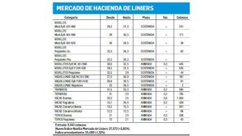 Liniers: jornada con ganancias