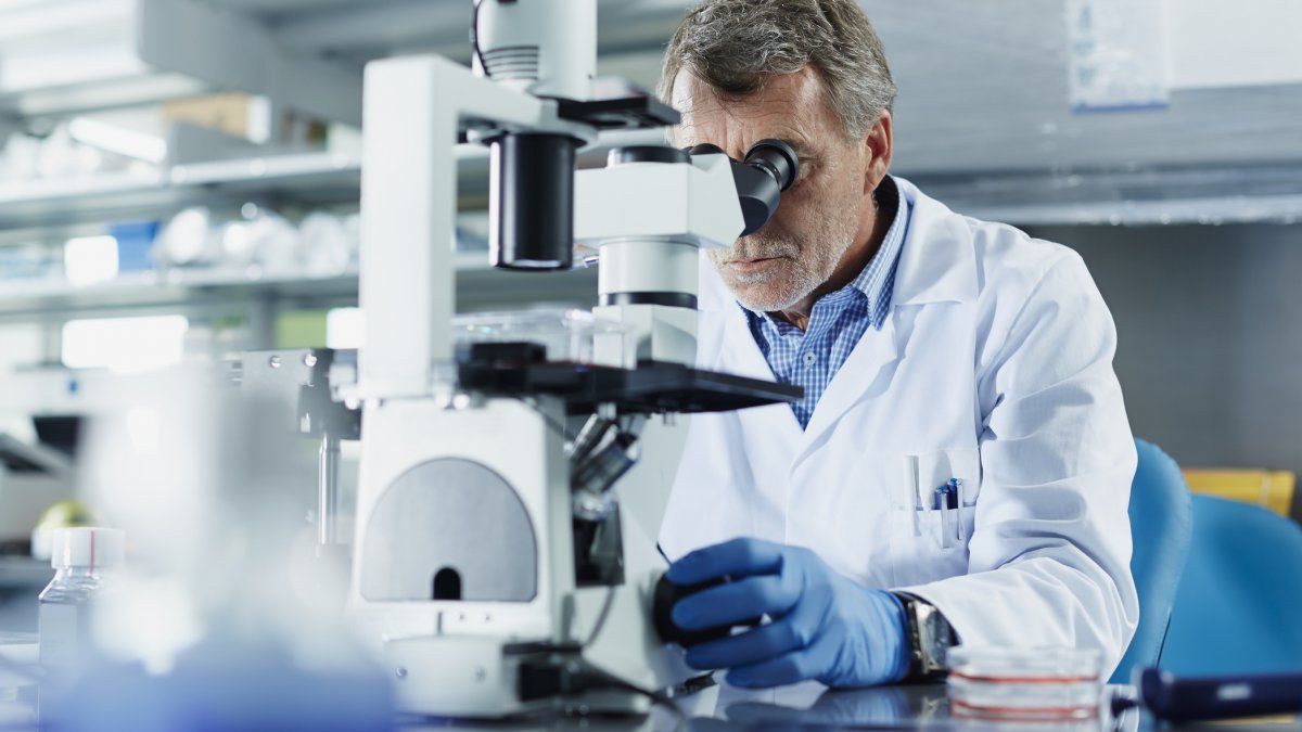 What is microRNA and why is the discovery of Victor Ambros and Gary Ruvkun important?