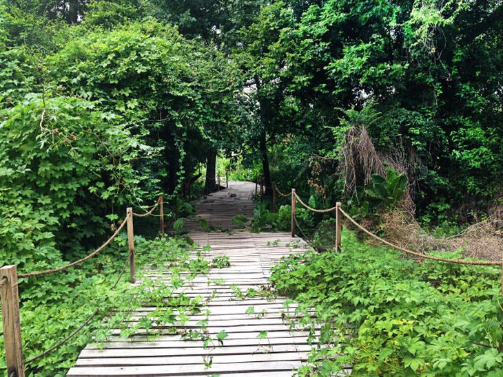 Avellaneda Ecopark.