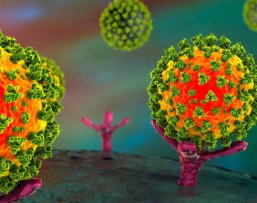 Afirman que la carga viral es similar en las variantes Ómicron y Delta de coronavirus