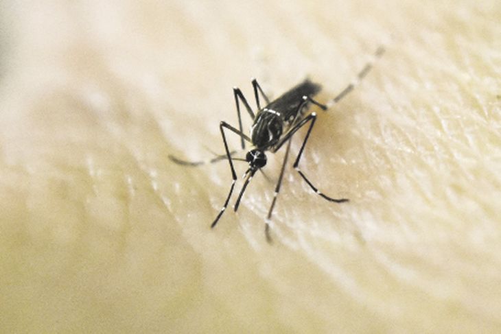 Escenario. Ya son varias las provincias que muestran un incremento de los contagios. Las autoridades recomiendan precaución. Escenario. Ya son varias las provincias que muestran un incremento de los contagios. Las autoridades recomiendan precaución.