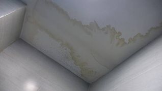 Sin lavandina: descubre estre truco viral para quitar humedad de paredes Sin lavandina: descubre estre truco viral para quitar humedad de paredes