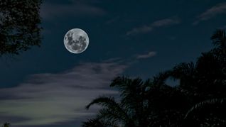 Cómo hacer el ritual de luna llena y alcanzar la prosperidad