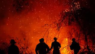 Tolima es el departamento más afectado por los incendios forestales, con más de 30.000 hectáreas consumidas y ocho focos activos.