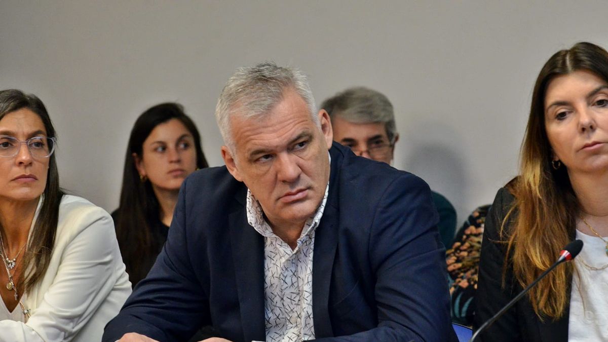 UCR deputy allied with Martín Lousteau denounced Javier Milei and Gerardo Werthein for ideological persecution in the Foreign Ministry