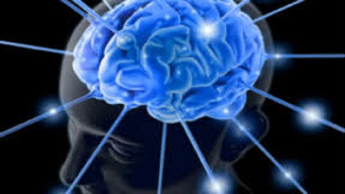 Día Mundial del Cerebro: claves para cuidar al principal órgano del ser humano