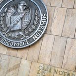 Después de un superávit en 2024, el resultado de la Caja Notarial se deterioró por la caída en inversiones forestales y el crecimiento de los pasivos. Después de un superávit en 2024, el resultado de la Caja Notarial se deterioró por la caída en inversiones forestales y el crecimiento de los pasivos.