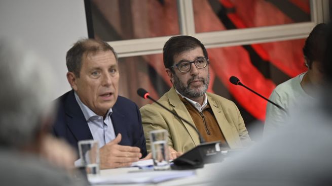 Fernando Pereira defendió la aplicación del Impuesto Mínimo Complementario Doméstico.