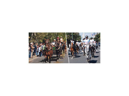 Más de 300 caballos de distintas razas desfilaron ayer por las principales avenidas de la Ciudad de Buenos Aires ante la presencia de más de 20 mil personas.