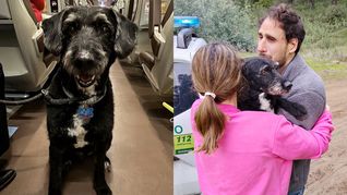 Boro volvió con su familia.