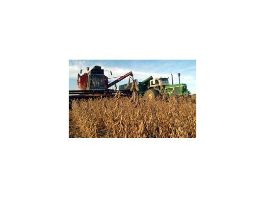 Las exportaciones de cereales cayeron 48,7%