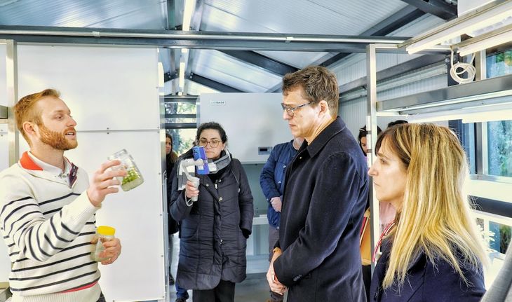 Vivero in vitro de CABA. Vivero in vitro de CABA.