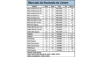 Mercado de Liniers: novillo bajó 0,60%