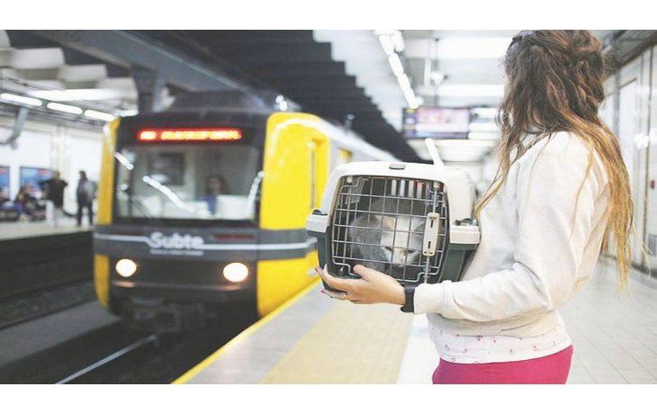 tRASLADO. El andén estará delimitado para que los pasajeros que trasladen a sus mascotas lo hagan en el último vagón. Además, habrá que llevar la constancia de vacuna antirrábica.